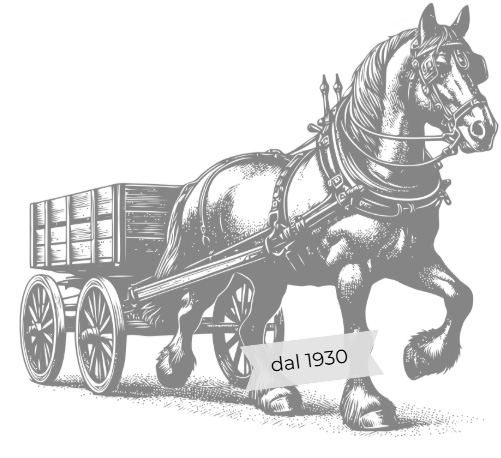 Frigo 2000 Cagnina Roberto storia frigoristi Alessandria dal 1930