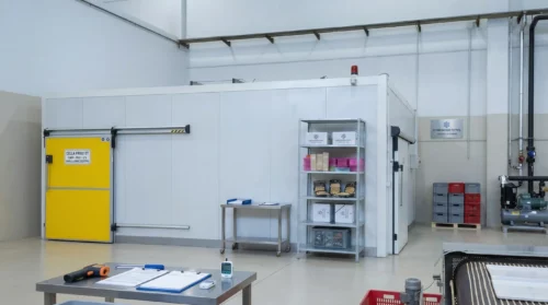 Refrigerazione professionale
